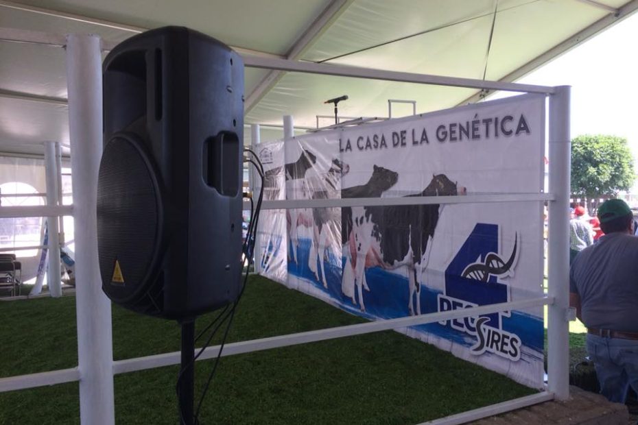 bocinas para eventos empresariales